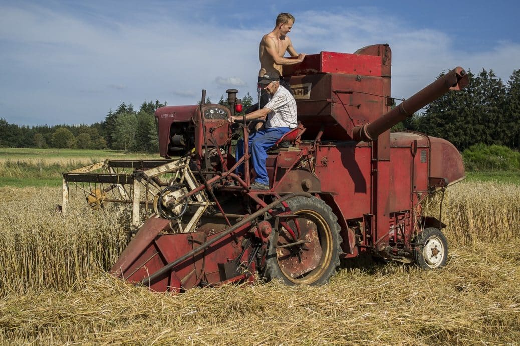 Le Maître de Moisson : Votre paix ira reposer sur lui